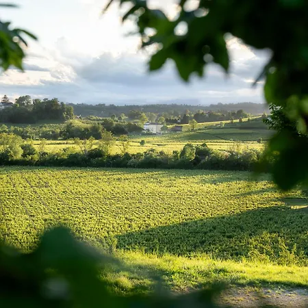 Tenuta Malvolti - Al Vecchio Convento San Fior di Sopra