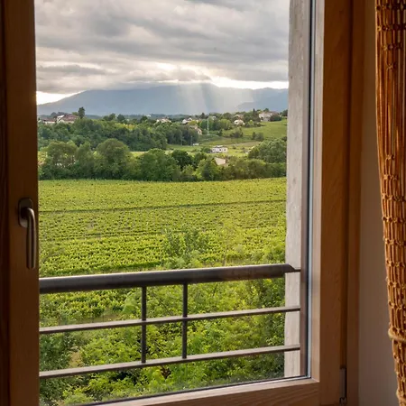 Tenuta Malvolti - Al Vecchio Convento Farmház *