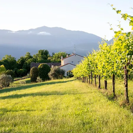 Tenuta Malvolti - Al Vecchio Convento *